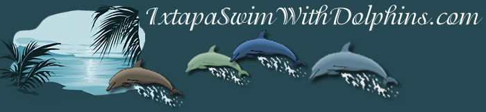 Ixtapa Swim with Dolphins